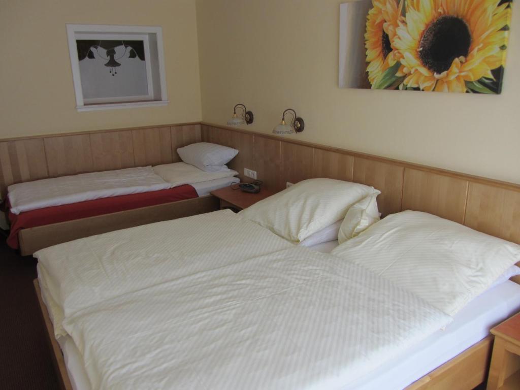 Pension Zur Alten Schmiede Zwiesel Habitación foto